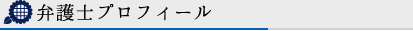 弁護士プロフィール